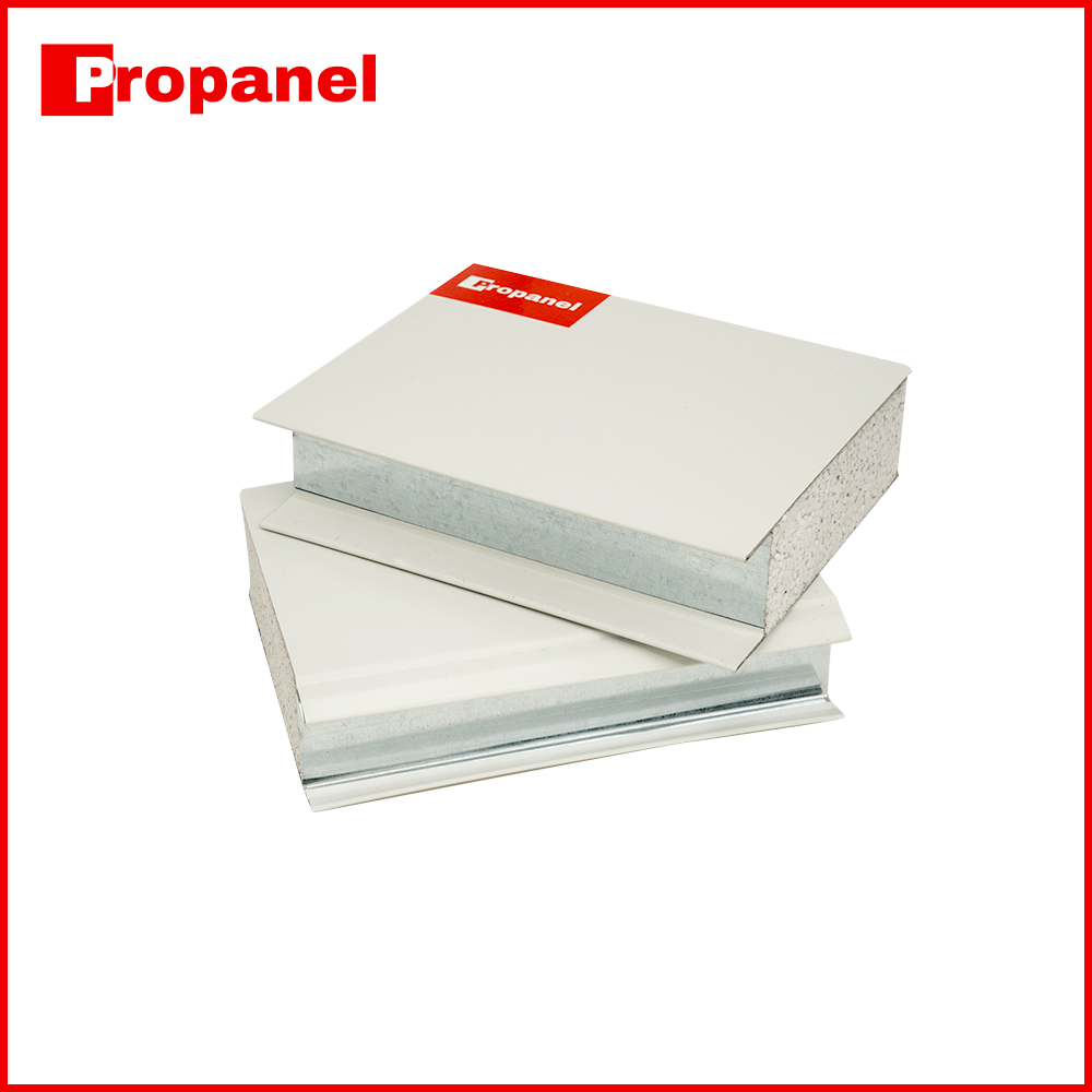 EPS Sandwich Wall Panel Sample