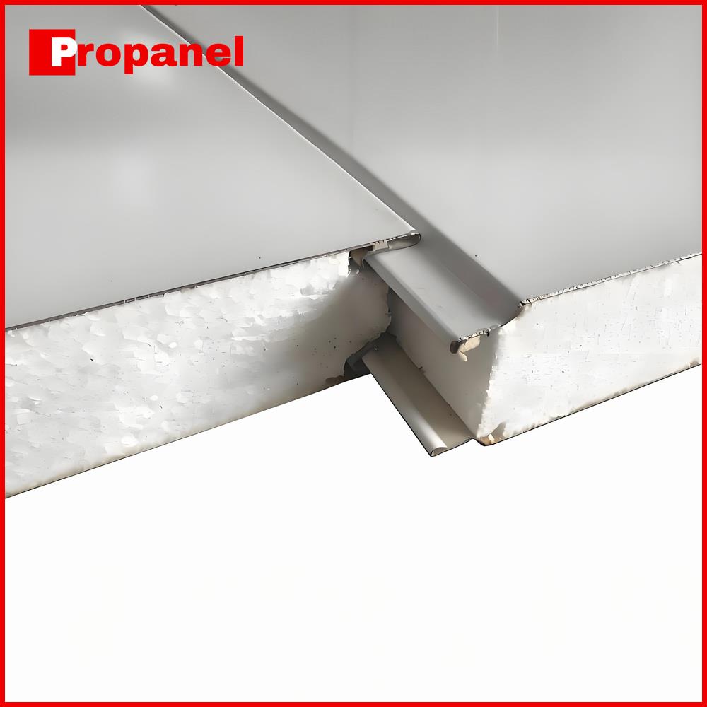 EPS Sandwich Panel Sample